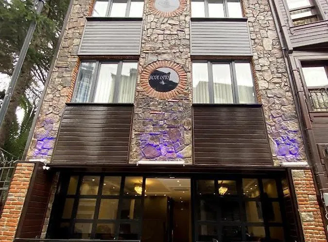 Hotel Blue Ottoman Istanbul, Turkey